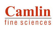 camlin fine sciences